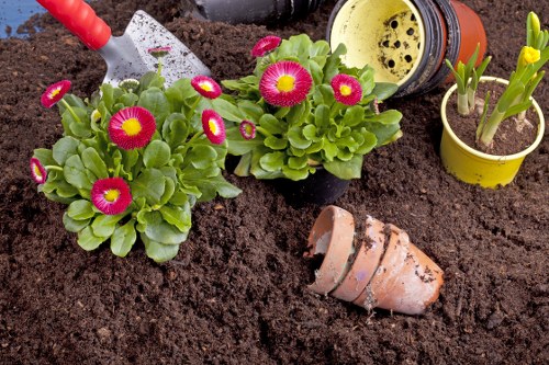 Accessible landscaping website interface for Vauxhall users