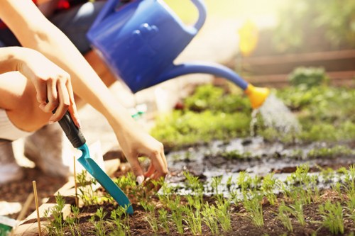 Professional garden maintenance in a Vauxhall residential outdoor space