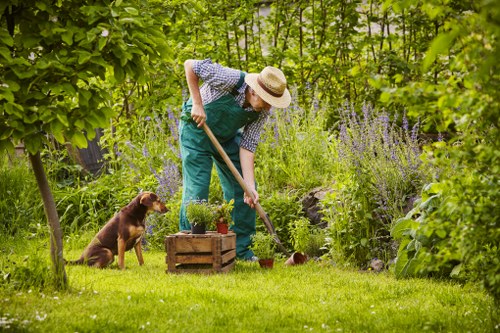 Inclusive landscaping website experience for Vauxhall