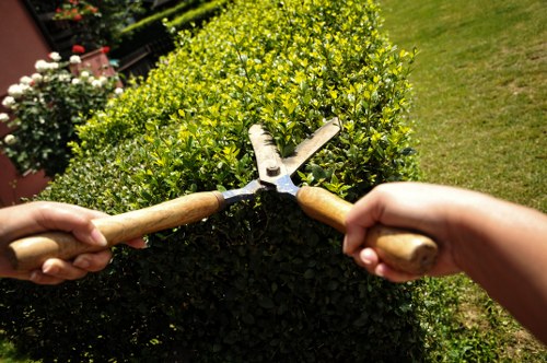 Safe site management during landscaping work with clear access routes