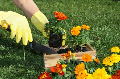 Screen-reader-friendly landscaping content layout in Vauxhall