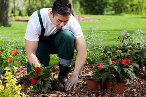Local landscaping work for a Vauxhall property with access considerations