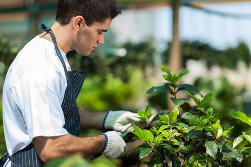 Charity reuse partnership supporting sustainable landscaping waste recovery
