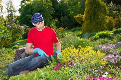 Seasonal grass treatment and lawn maintenance in Vauxhall