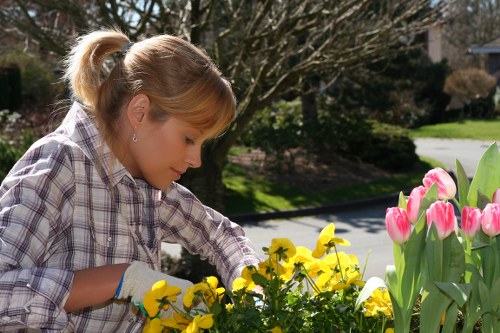 Local landscape gardening service for residential and commercial spaces in Vauxhall