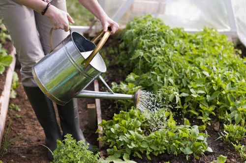 Professional lawn care for shared outdoor spaces in Vauxhall